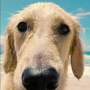 Meet your Posher, Kaliey